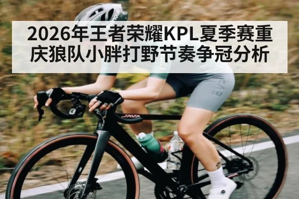 2026年王者荣耀KPL夏季赛重庆狼队小胖打野节奏争冠分析